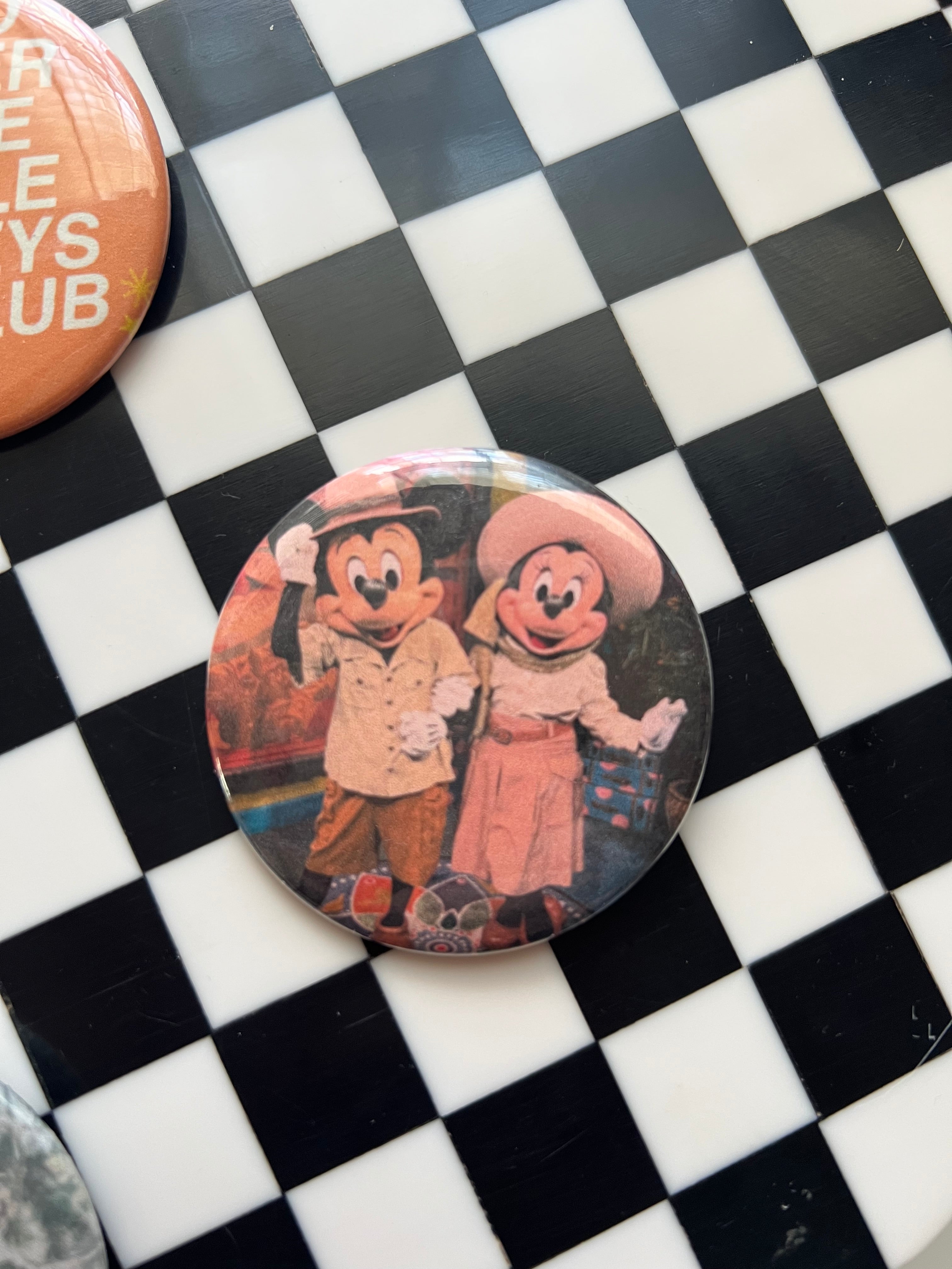 Animal Kingdom Buttons